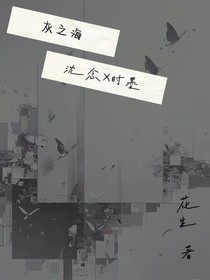 灰之海