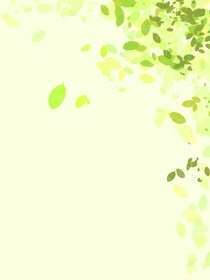 橄榄树结果了