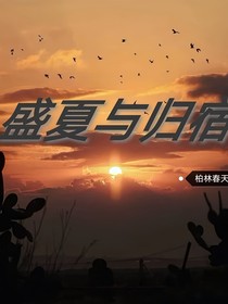 盛夏与归宿