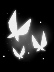 不论天亮还是黑夜