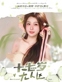 全明星：十七岁无人区
