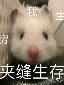 某只神经病的画册