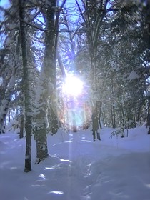 很想很想你：雪夜灯