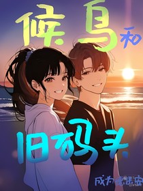 候鸟和旧码头