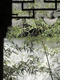 天墉城大师姐