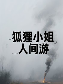 狐狸小姐人间游
