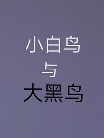 小白鸟与大黑鸟