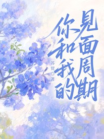 你和我的見面周期