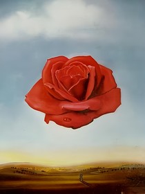 与花谈