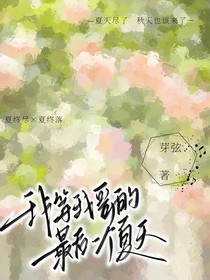 我等我哥的最后一個(gè)夏天