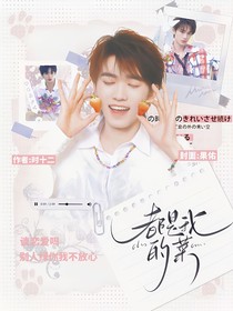 TNT：都是我的菜