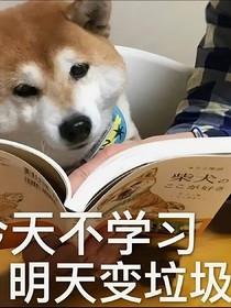 小升初学习方法重点