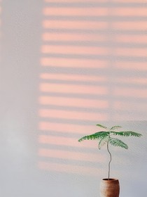 喜飒伦生