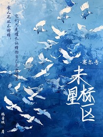 賽爾號：未標(biāo)星區(qū)