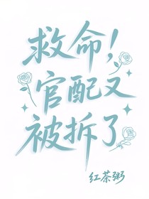 救命，官配又被拆了