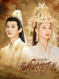 综影视：花神试炼手扎