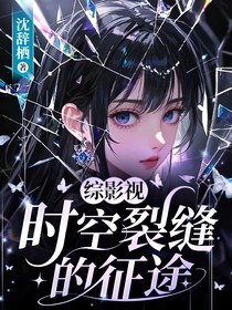 综影视：时空裂缝的征途