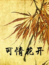 可情花开