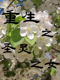 重生之圣靈之女