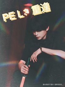 PEL：重逢