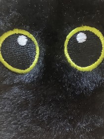 白猫黑猫