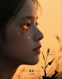 ——夏草——