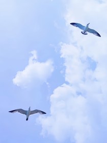 台风今晚登陆