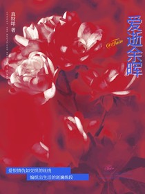 爱逝余晖