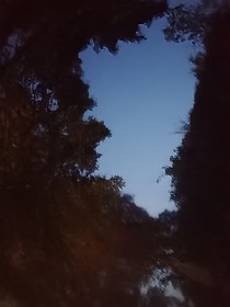 意春
