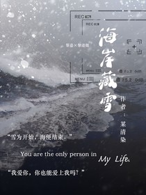 海岸藏雪