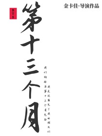 BTS：第十三个月