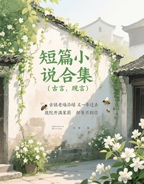 短篇小说合集（古言，现言）