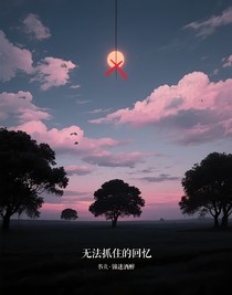 无法抓住的回忆