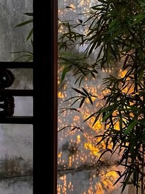 嘉嘉和一只爆躁小金金