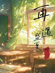 再遇盛夏时
