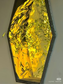 悠悠之夏