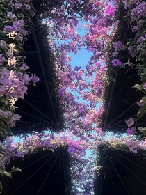 世界瞬息万变