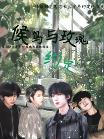 候鸟与玫瑰的约定