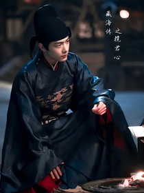 藏海传之揽君心