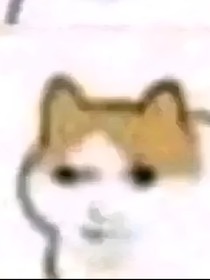 紊乱纪元
