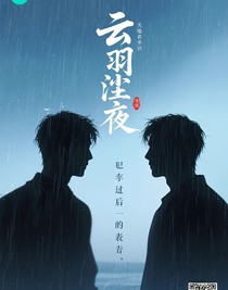 云羽尘夜