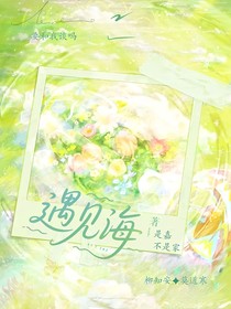 遇见海