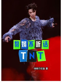 TNT：赘婿不听话