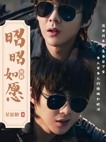 终极笔记：昭昭如愿