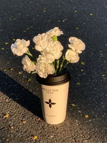 任渐暖语