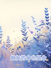 炮灰的命也是命