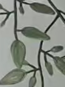 與君賞花