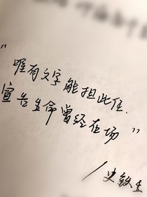 闪光的乐队：有点多