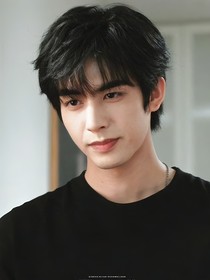 综影视：美人不按套路出牌