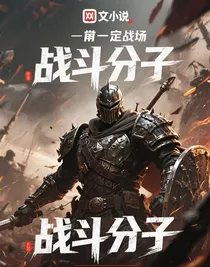 战斗分子
